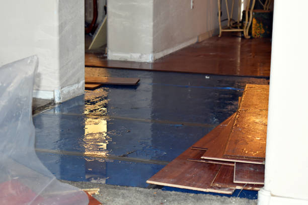 Professional Water Damage Restoration technician working in Tilden, IL